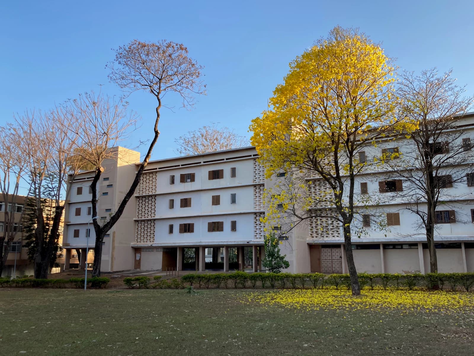 Auditoria em condomínios residenciais e comerciais